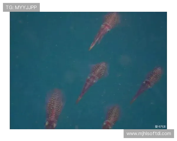 探索PG游戏手机娱乐的多样化内容，满足不同玩家的休闲娱乐和竞技需求